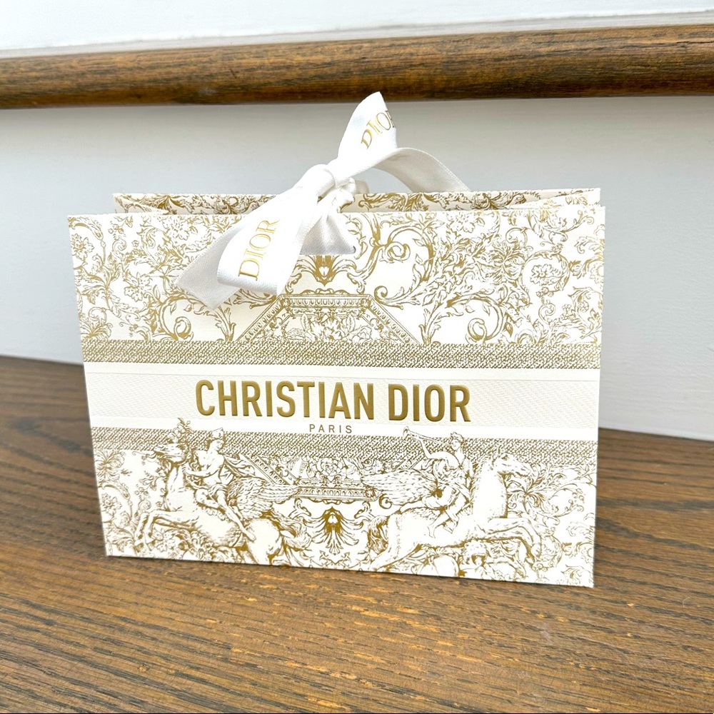 Small Dior shopping bag